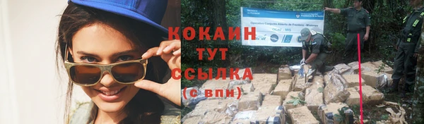 амф Горнозаводск