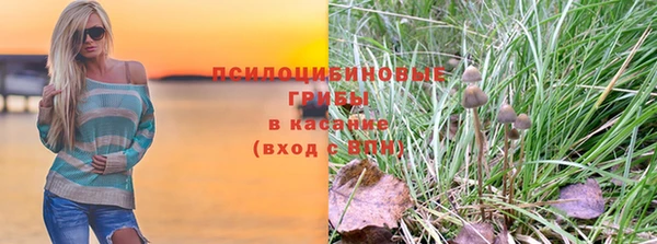 амф Горнозаводск