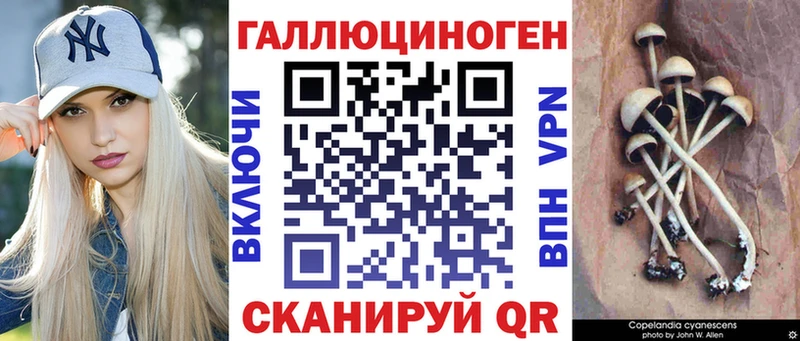 kraken   Кисловодск  Псилоцибиновые грибы прущие грибы  закладка 